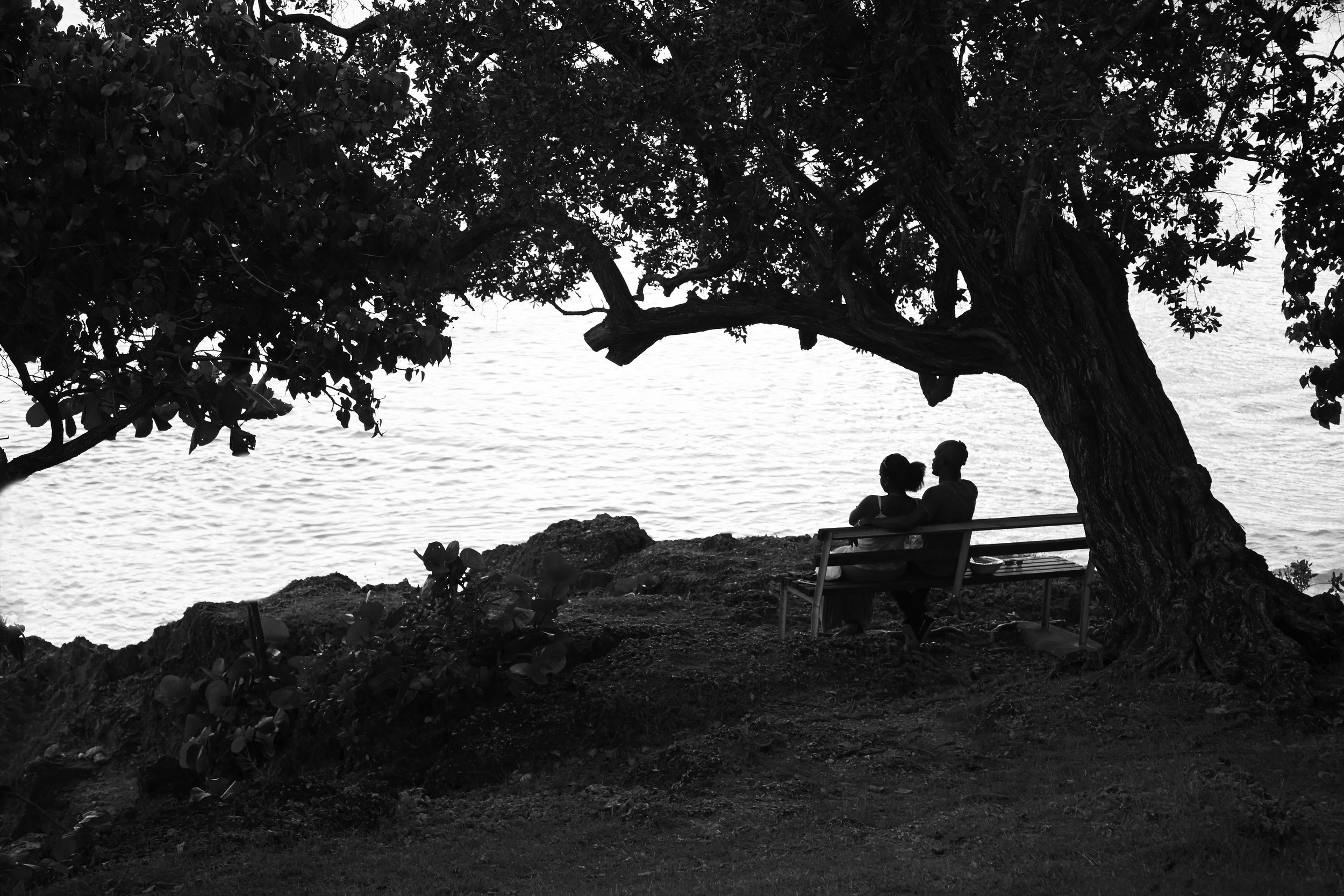 WFWP Canada Hosts “Gender Equality: A Forward Looking Hopeful Perspective” Webinar  Series