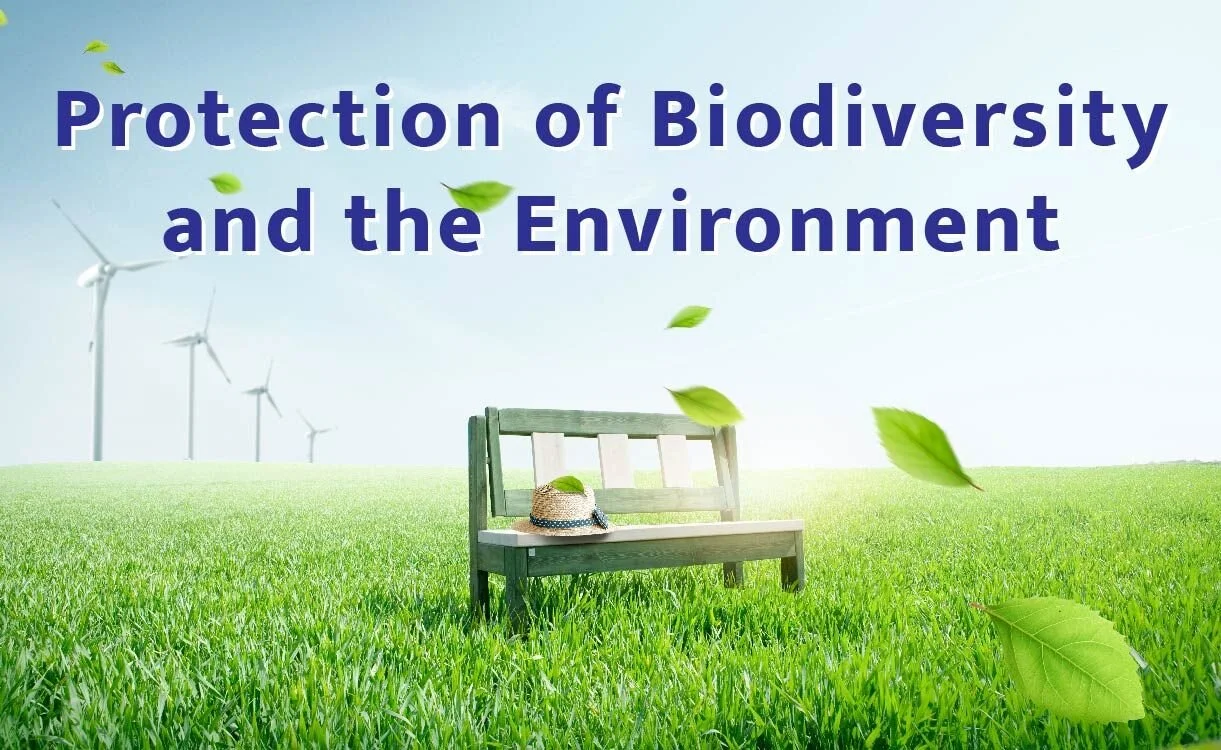 Activities for the Protection of Biodiversity and the Environment (WFWP Spain)