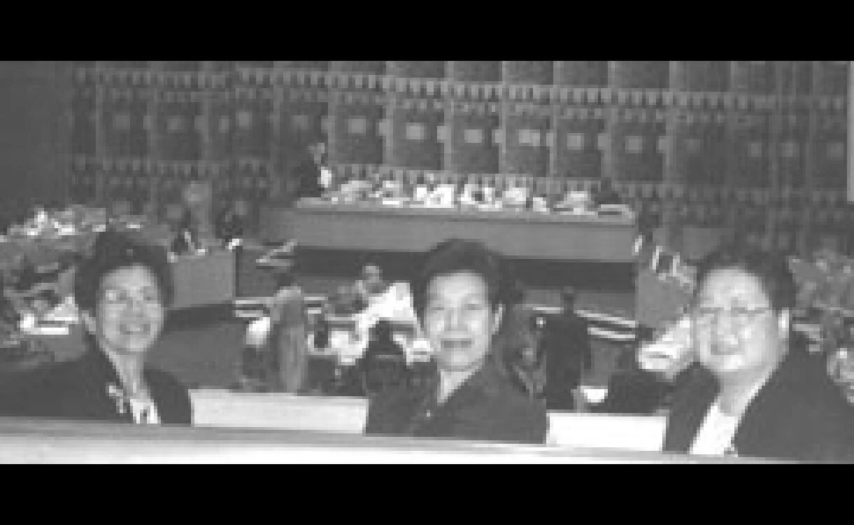 Statement to the High Level Segment