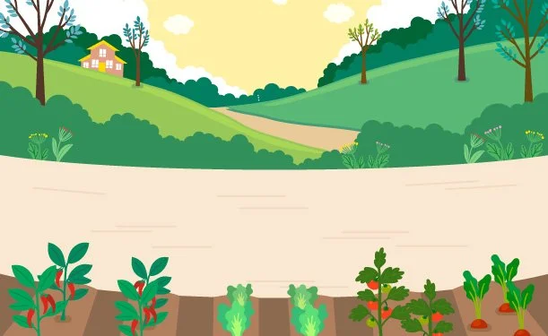 Permaculture Literacy Program