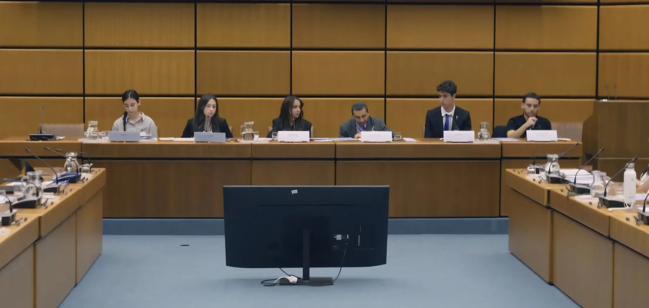 Youth Empowerment: Education for Peace at UN Vienna