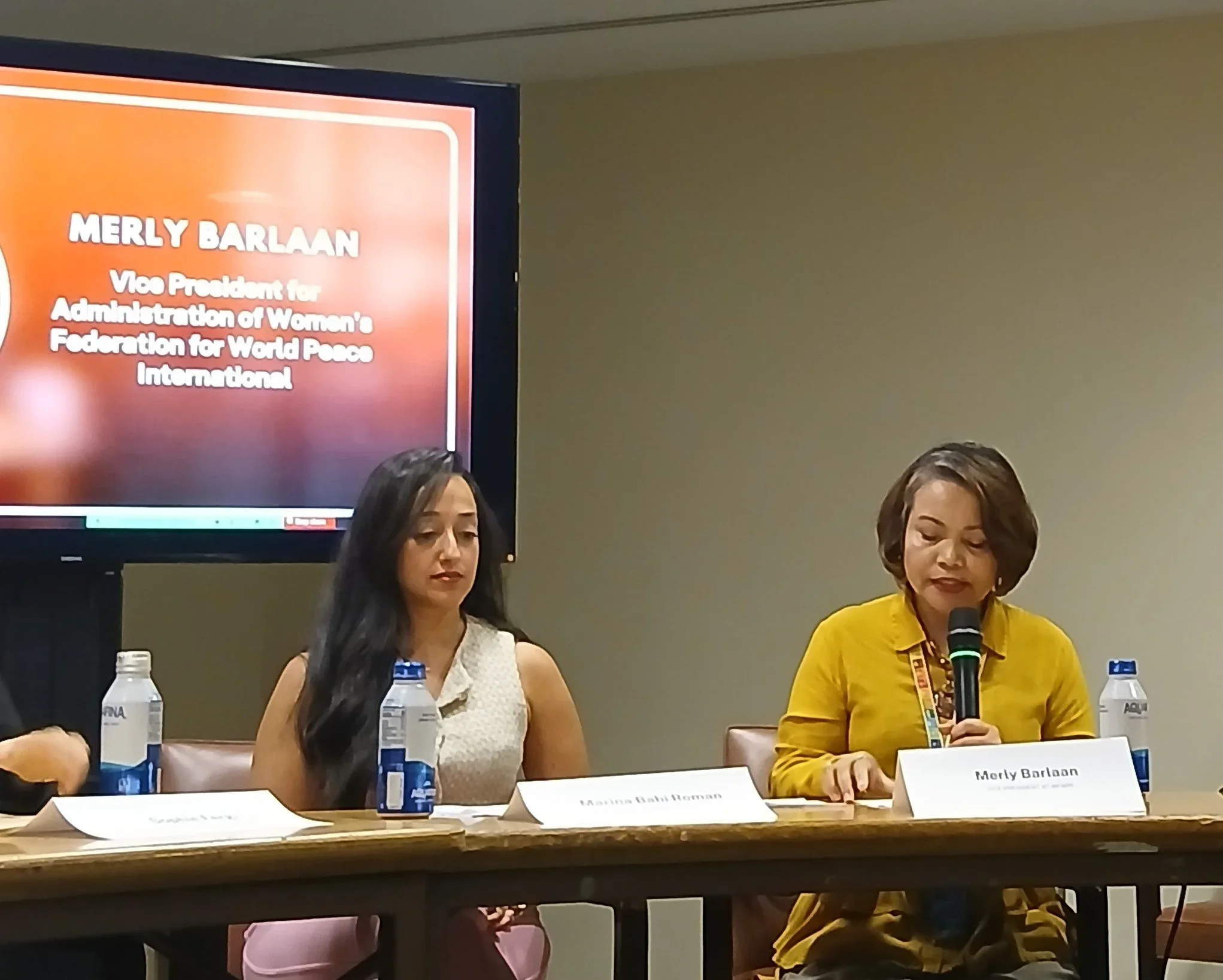 Youth Empowerment: HLPF 2025 Side Event with International Association of Youth and Students for Peace