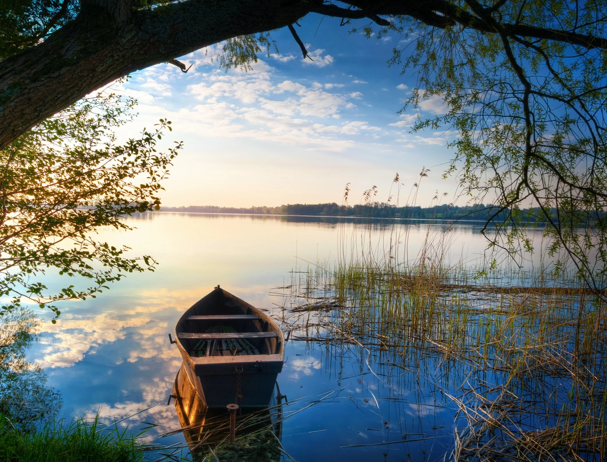 Boat with tree over and clouds in water.jpg