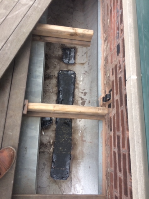 image3 (1).jpeg