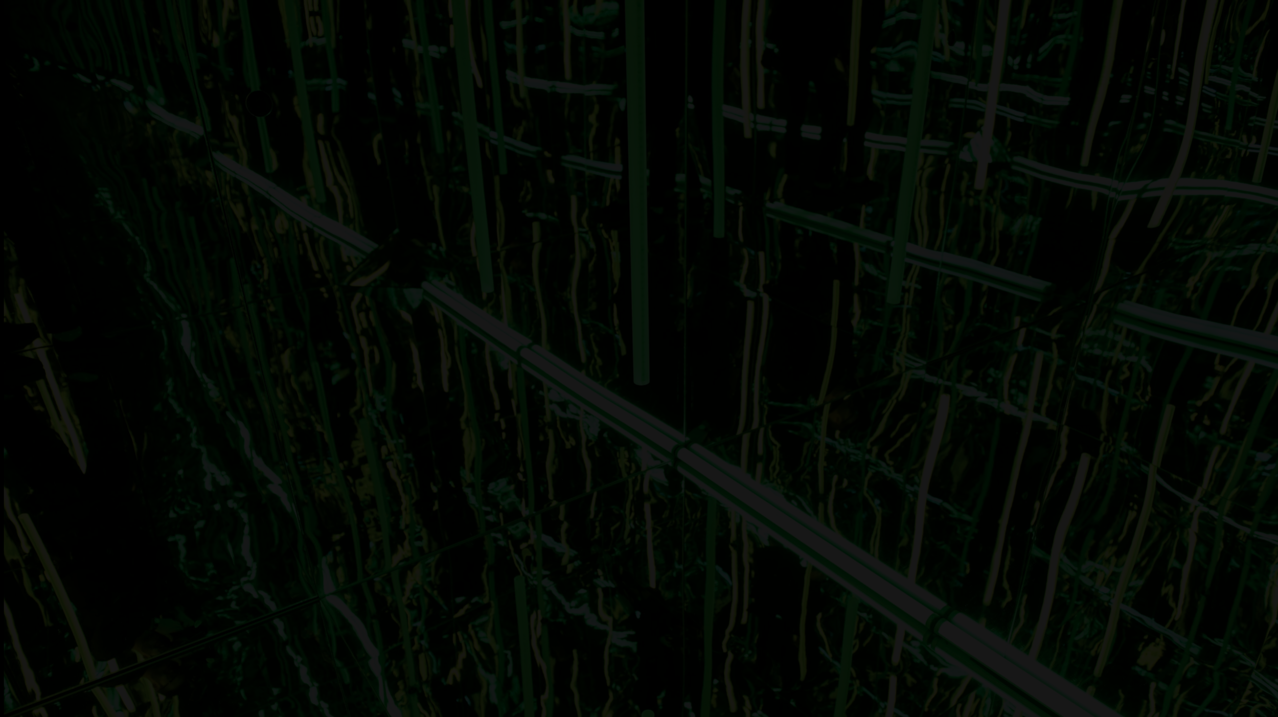 Screen Shot 2019-02-14 at 10.08.29 AM.png