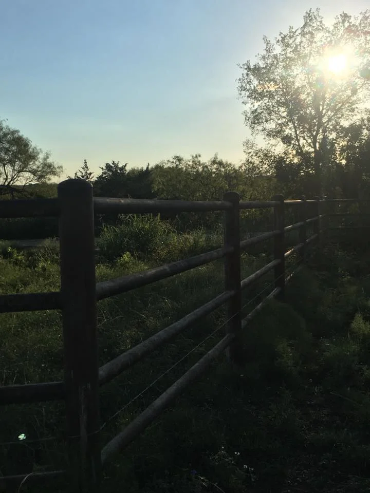 Fence2.jpg