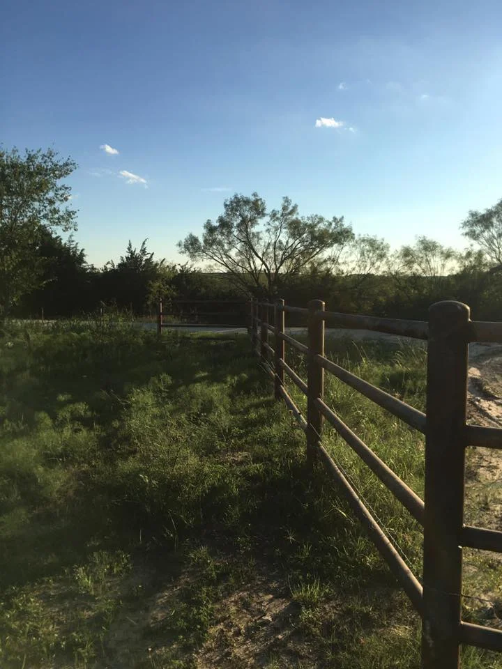 Fence3.jpg