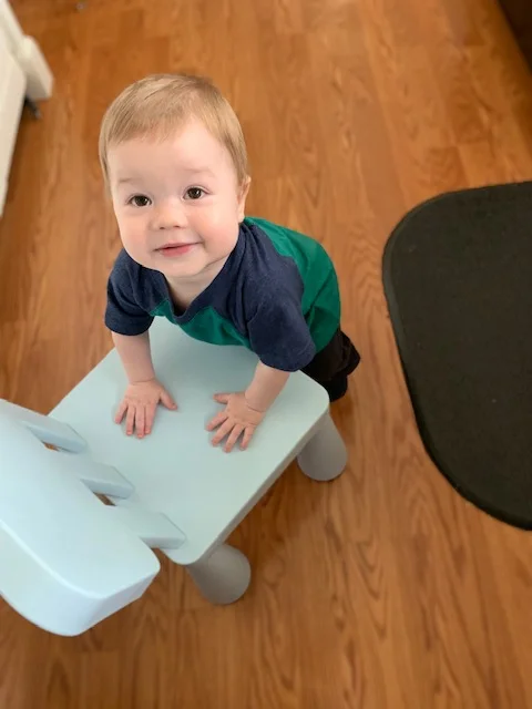 Teddy so badly wanted to help. He kept pushing a chair around to get in on the action. He finally gave up and headed for the tupperware drawer.