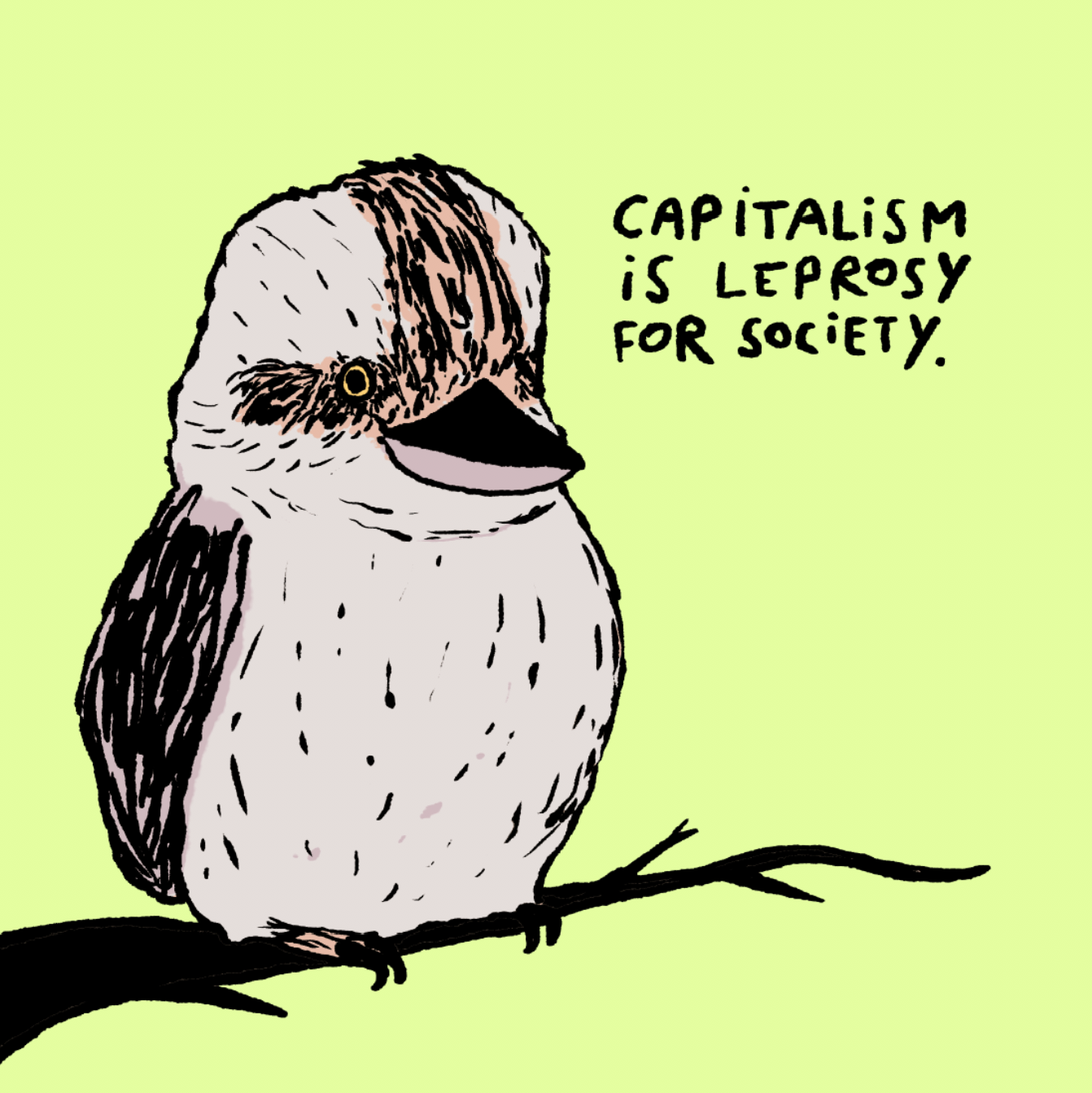 Arthur, the anti-capitalist kookaburra