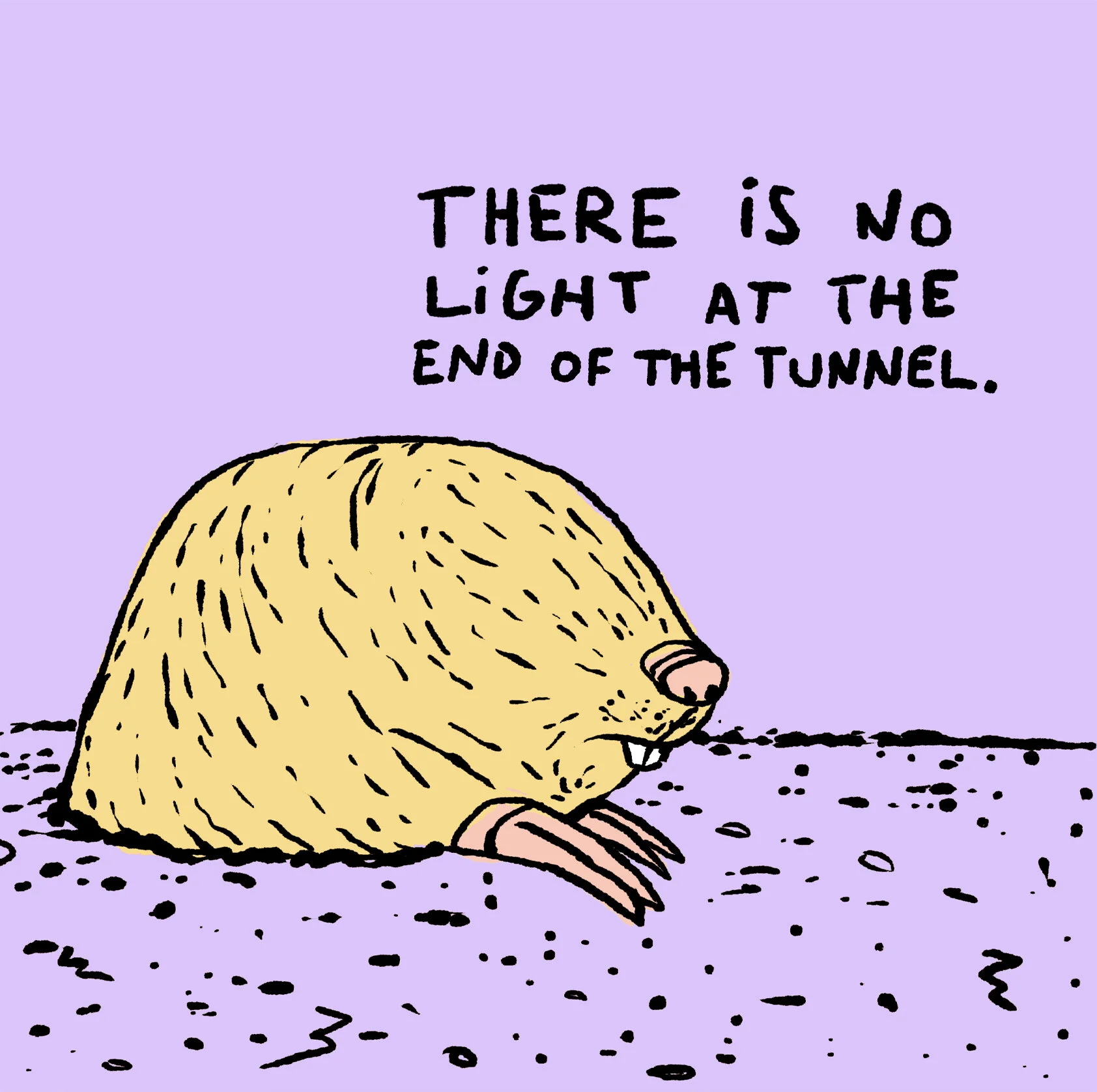 Beth, the downbeat golden mole