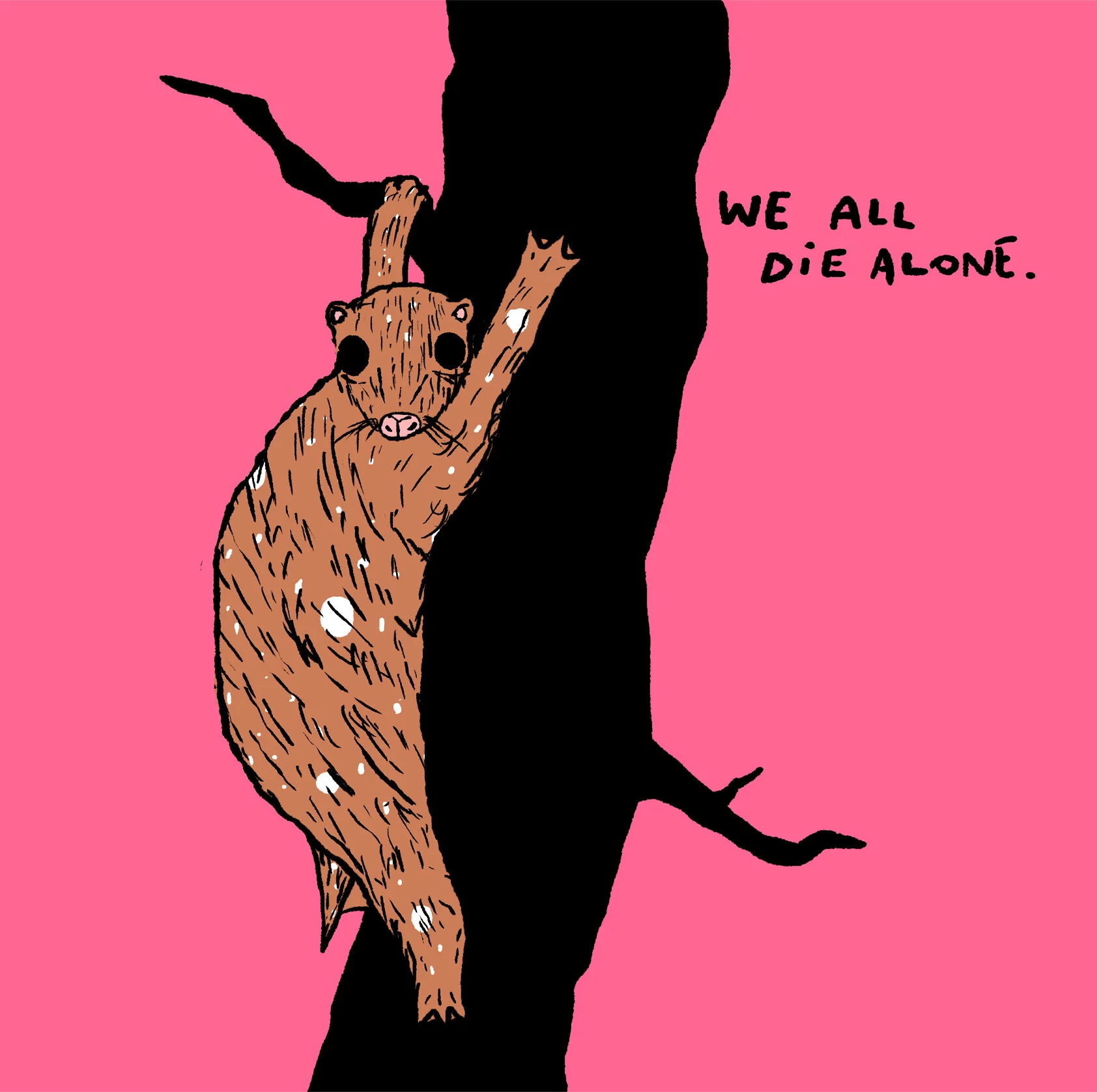 Evan, the gloomy flying lemur