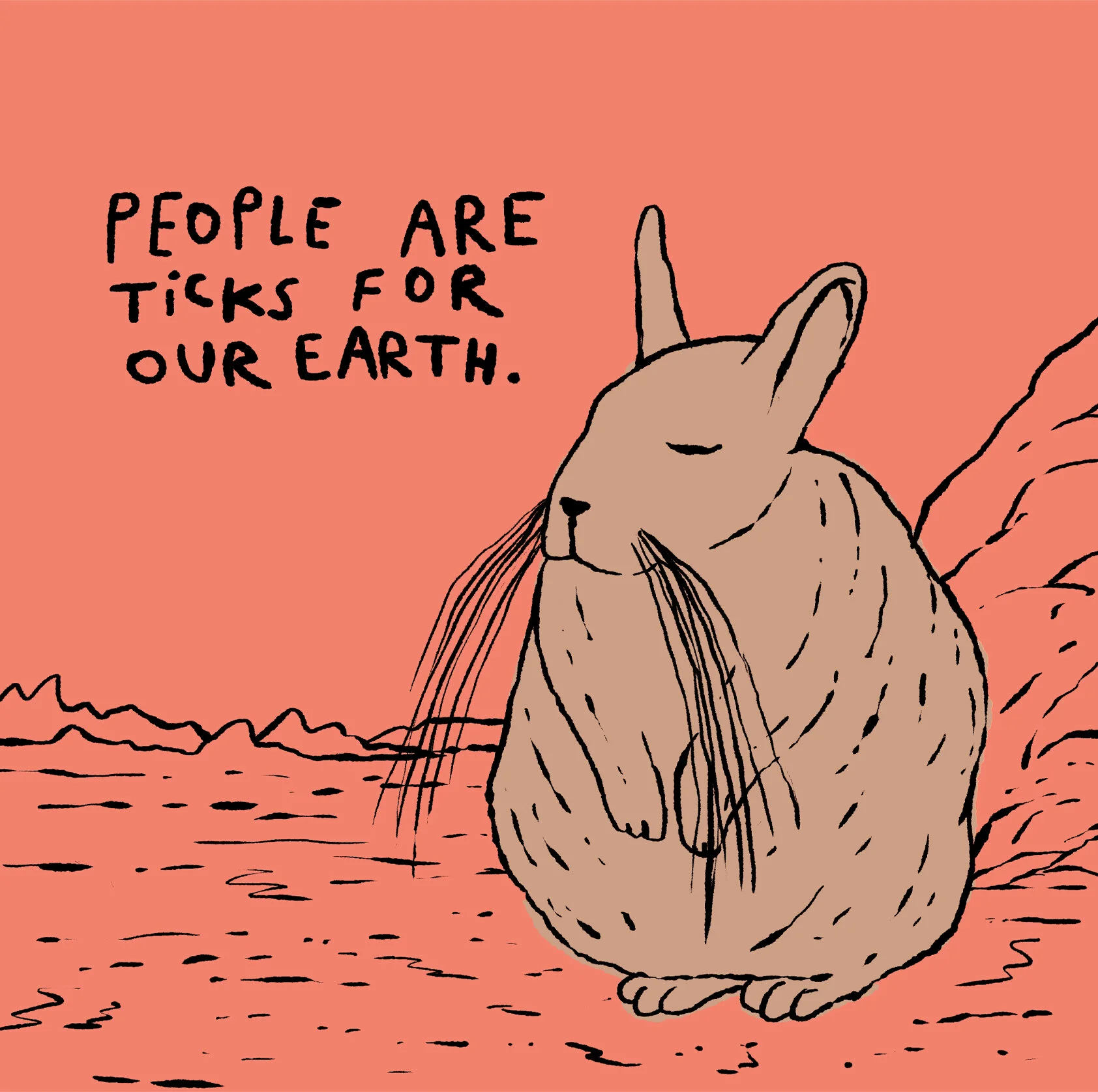 Melvin, the cynical viscacha