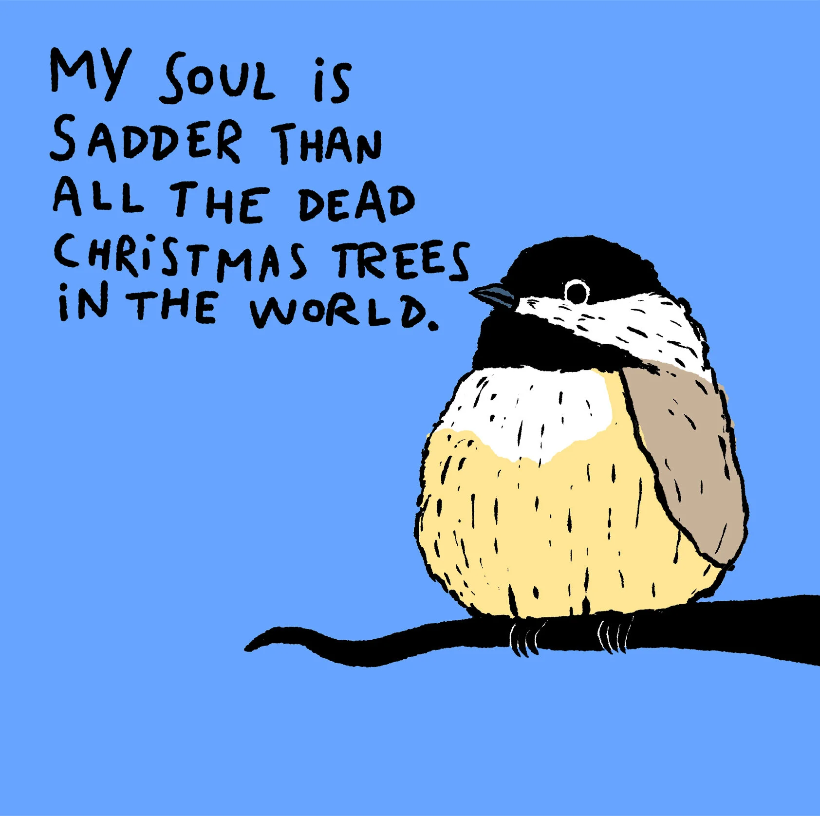 Pam, the melancholic chickiedee