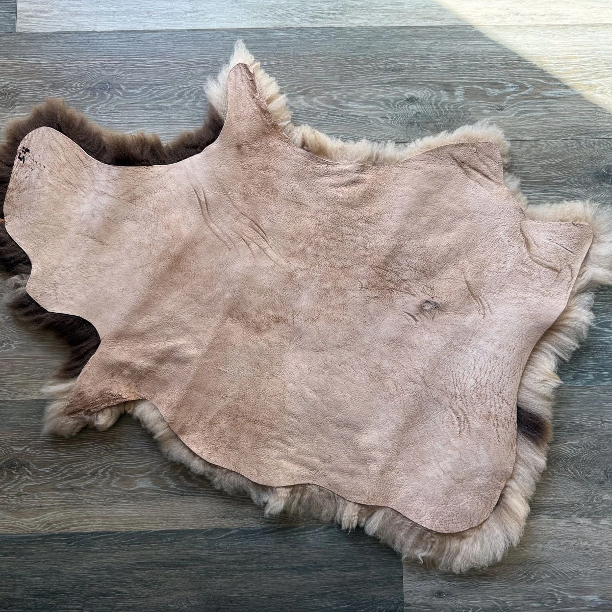 Lambskin-54-1.jpg