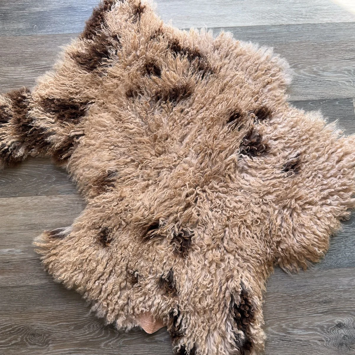 Lambskin-58-2.jpg