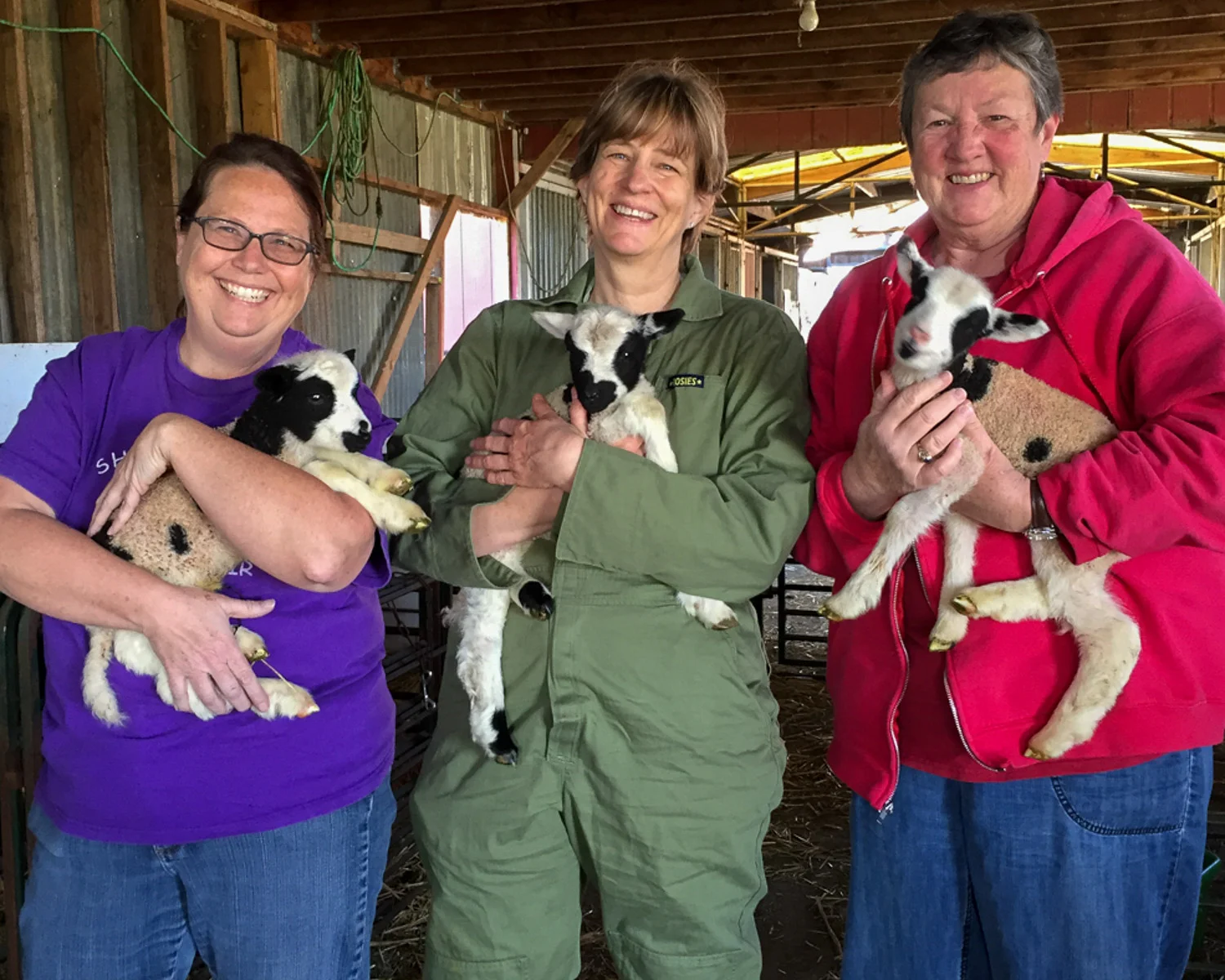 farm_club_members_holding_lambs
