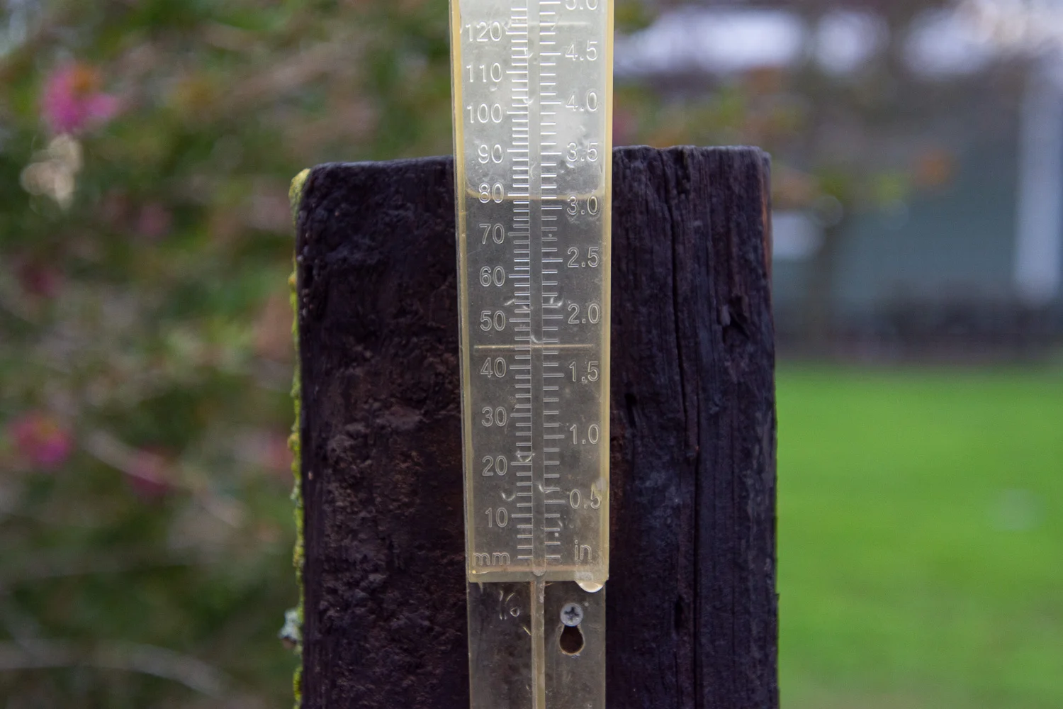 rain_gauge.jpg