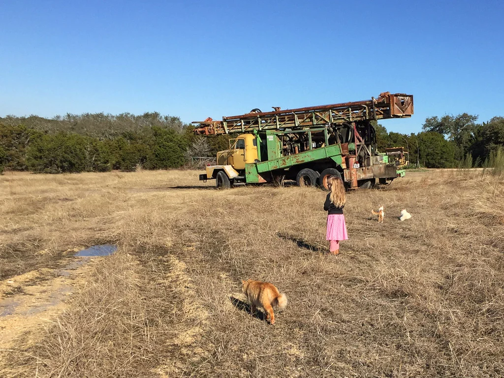 grandaughter_and_cats.jpg