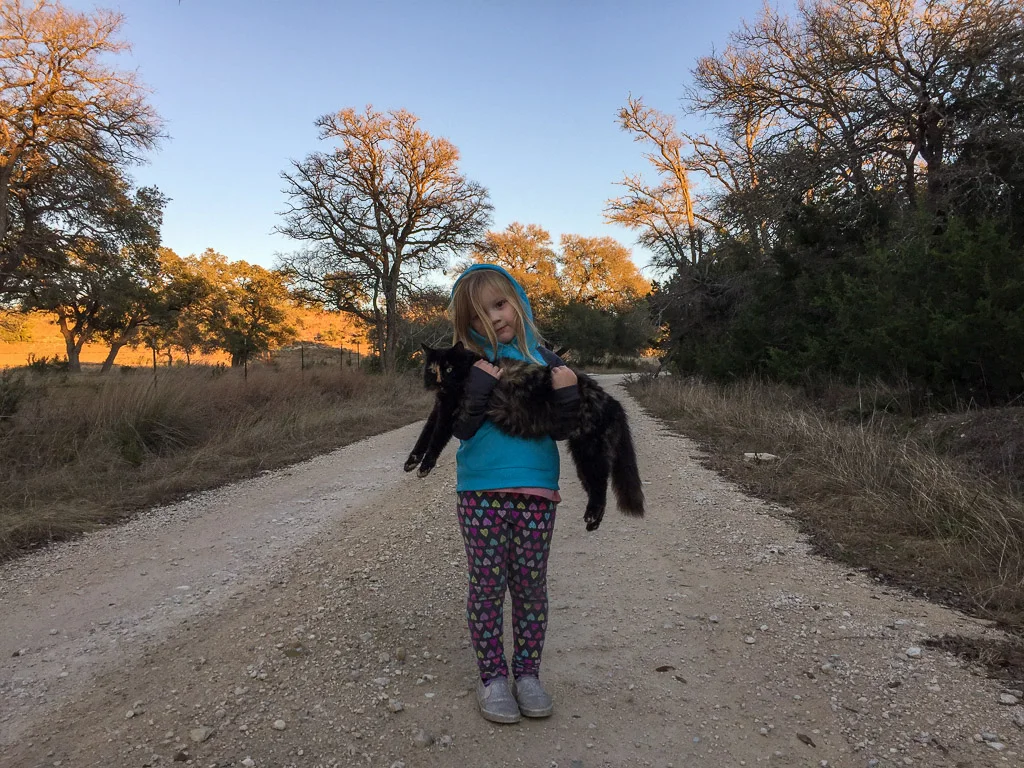 walking_with_cat.jpg