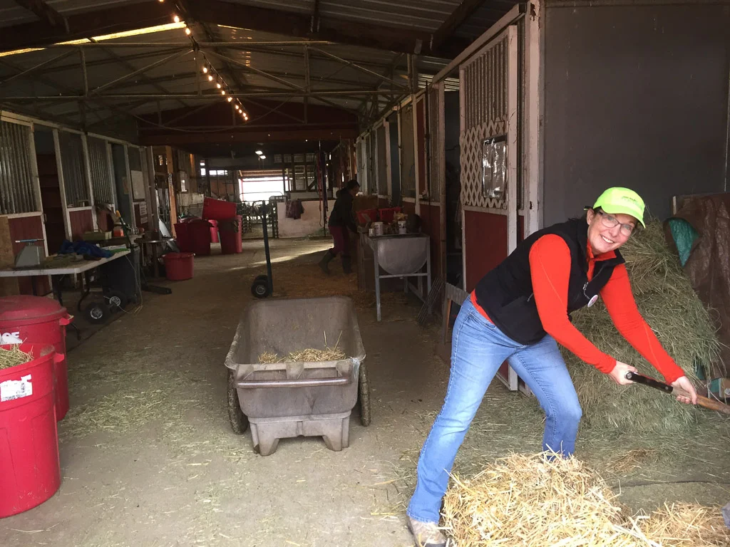 farm_club_cleaning_barn.jpg