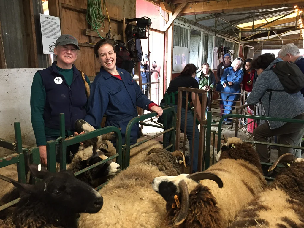 farm_club_shearing.jpg