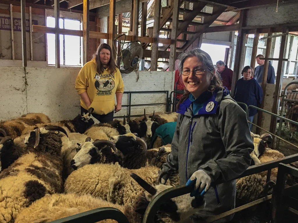 farm_club_sheep.jpg