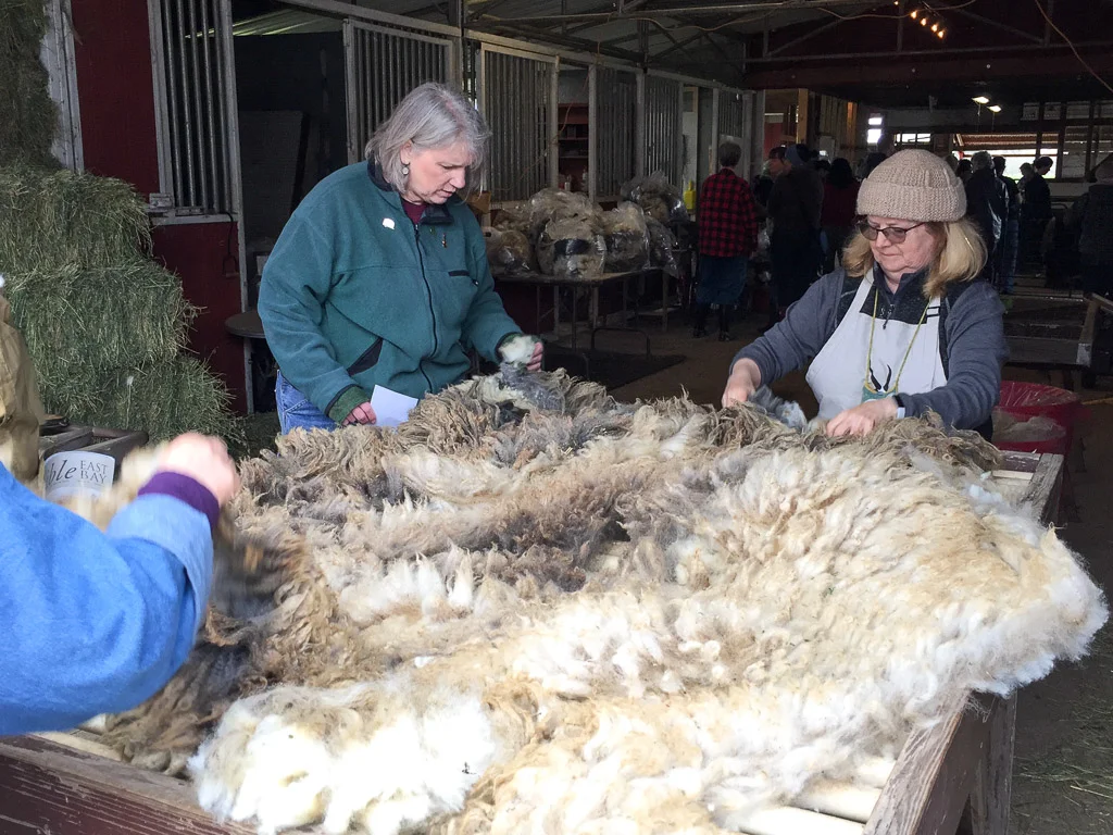 skirting_fleece.jpg