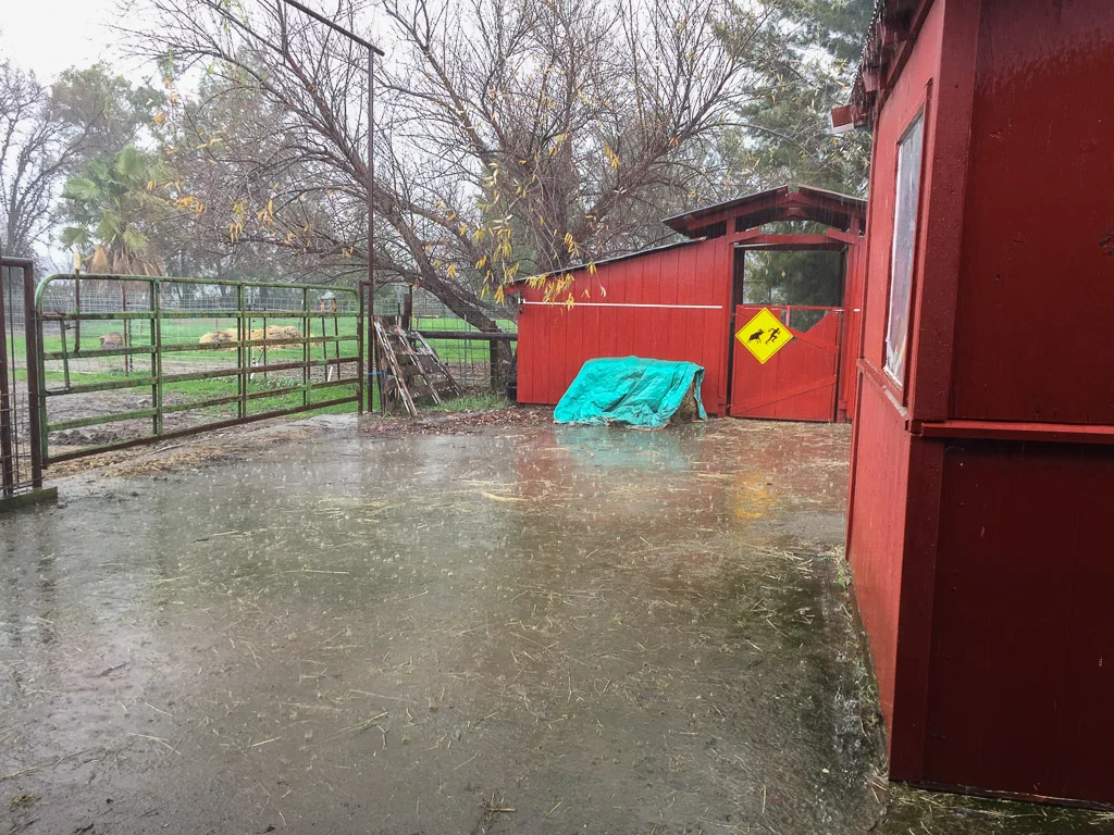 rain.jpg