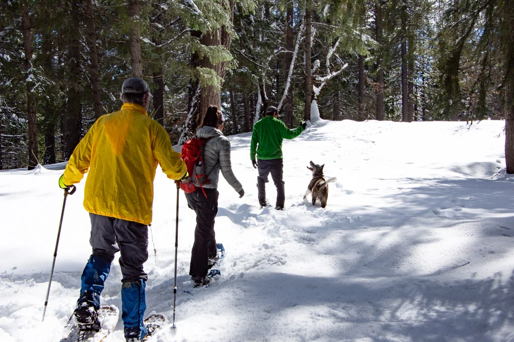 snowshoeing.jpg