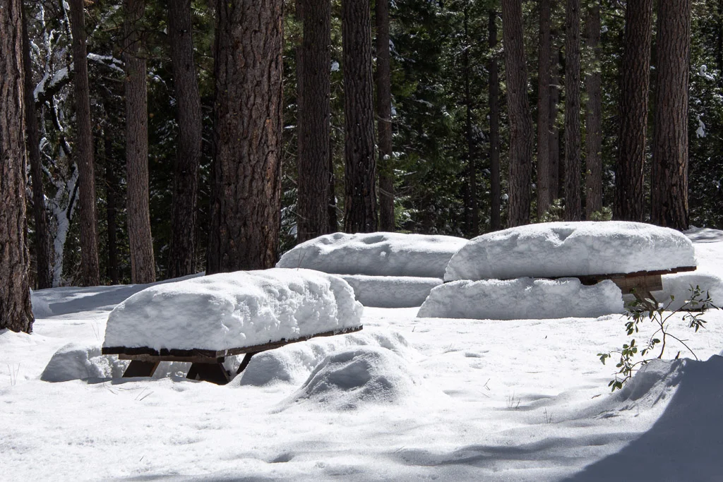 snowy_tables.jpg