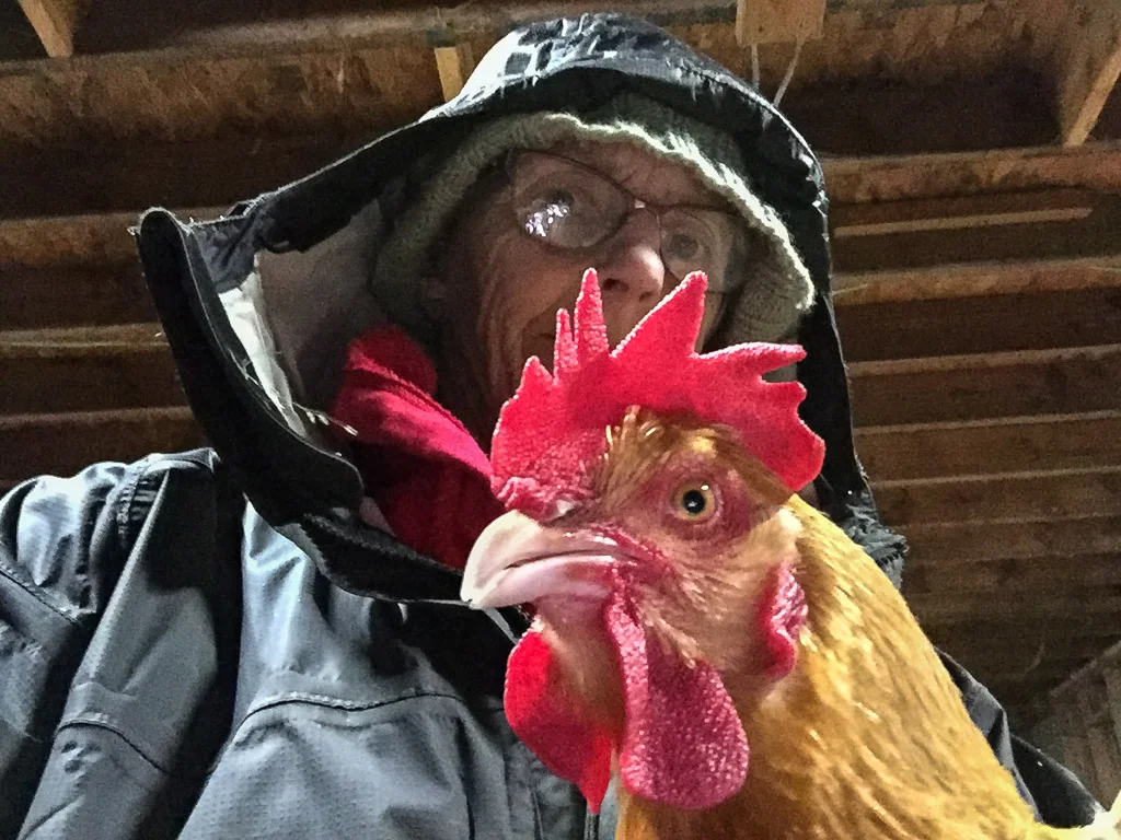 chicken_selfie.jpg