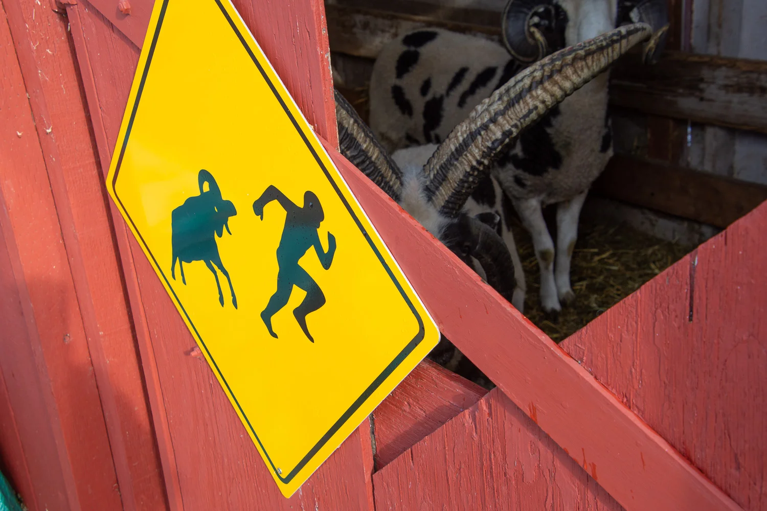 Ram caution sign.