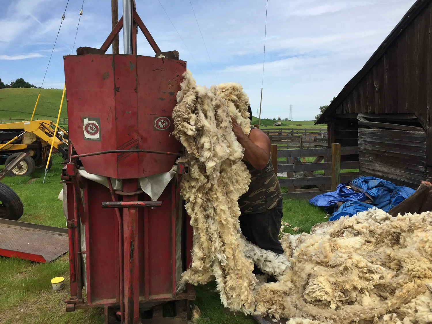 Baling wool