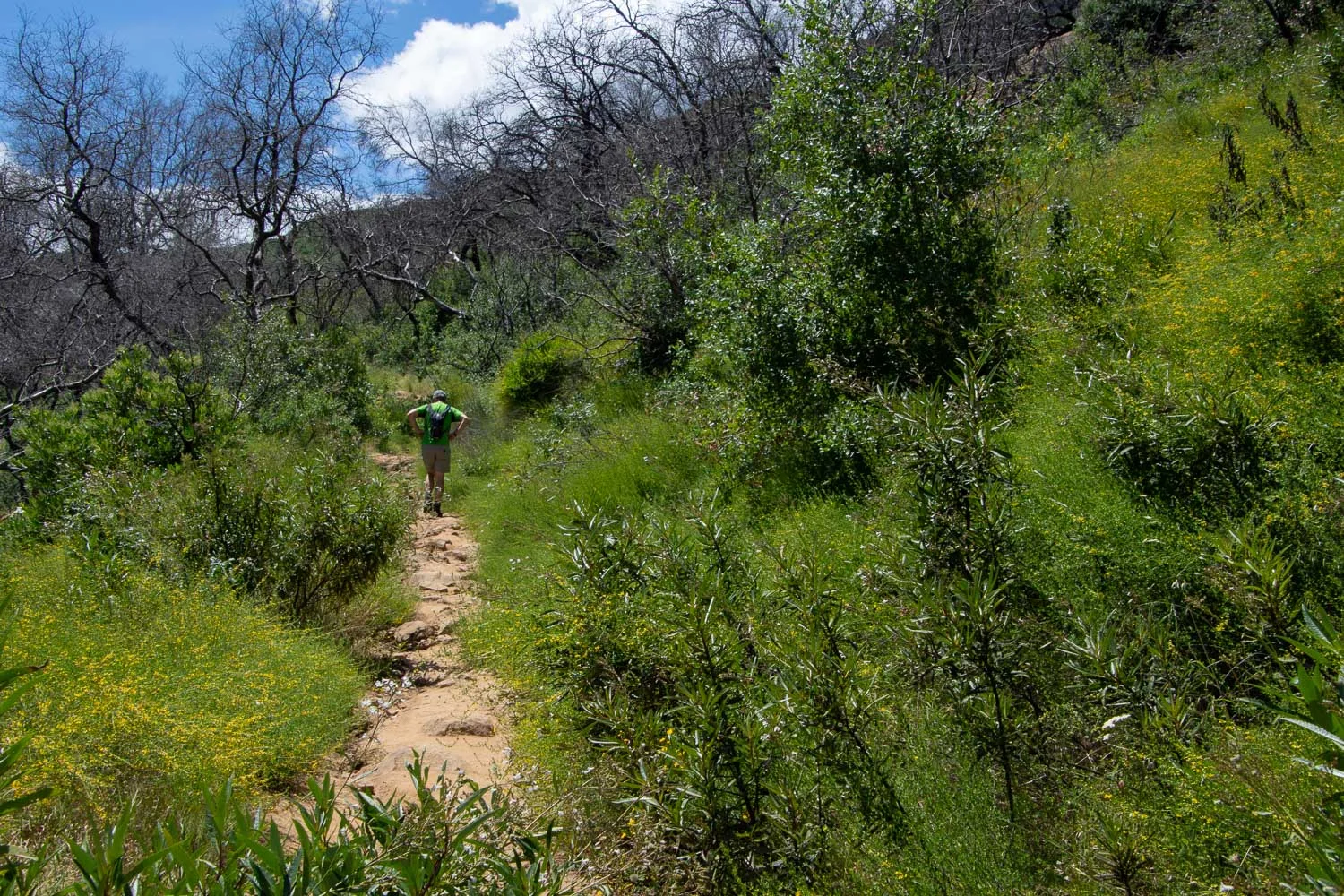 Hiking in stebbins cold canyon