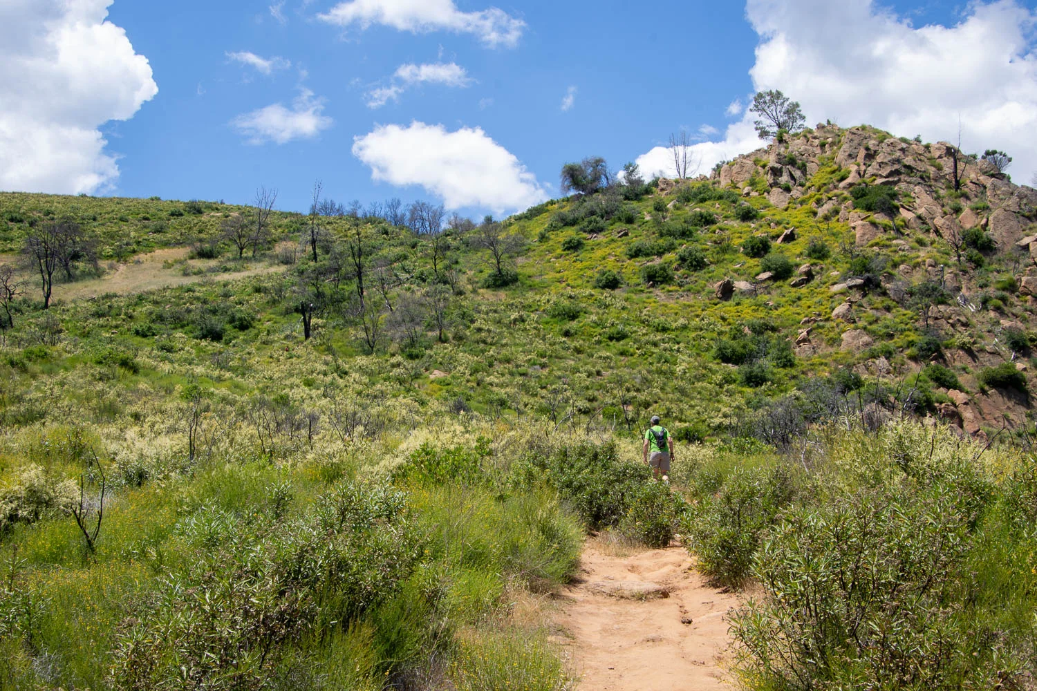 Hiking along the ridge at Stebbins Cold Canyon