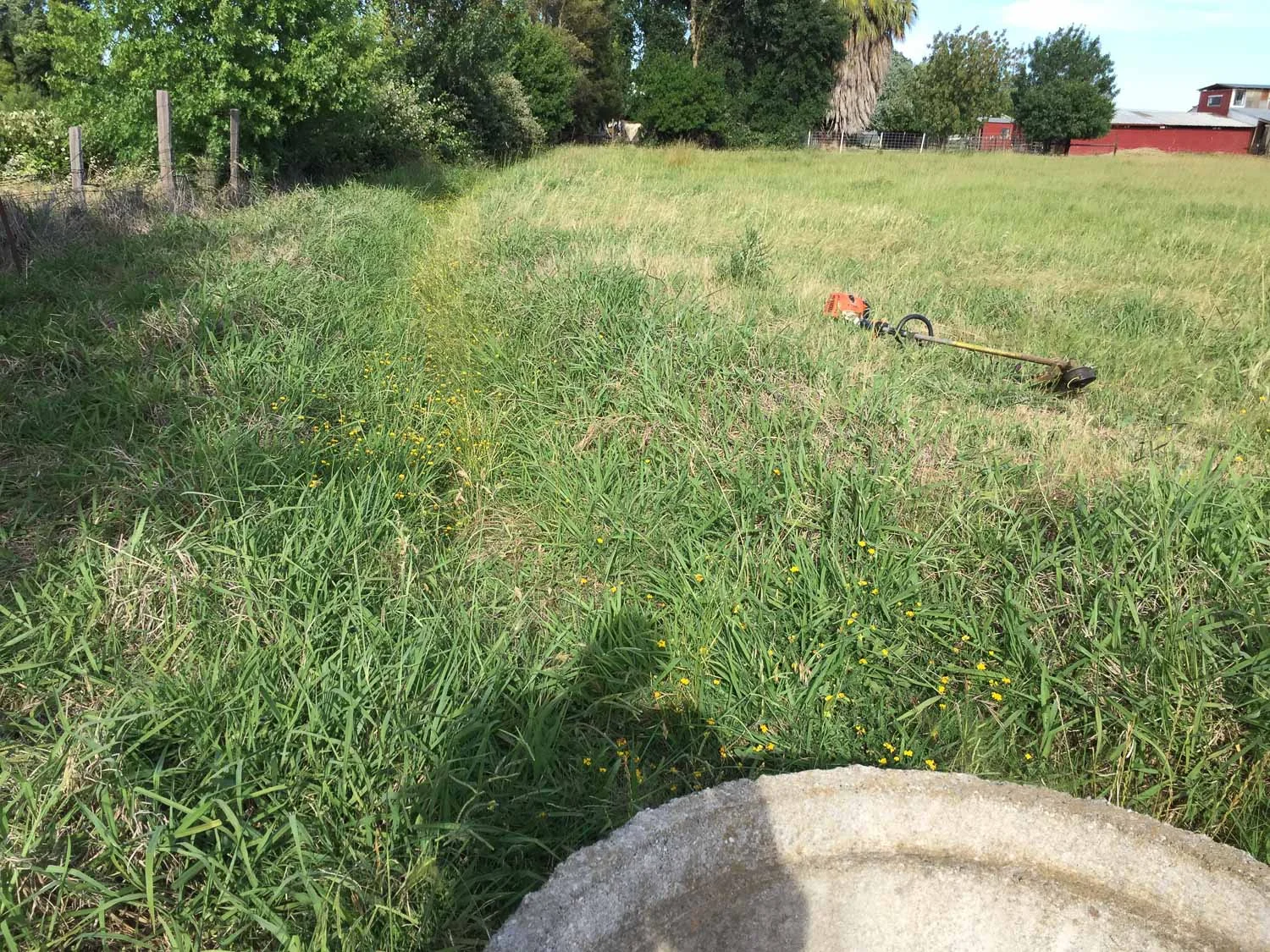 Irrigation ditch at end of pasture.