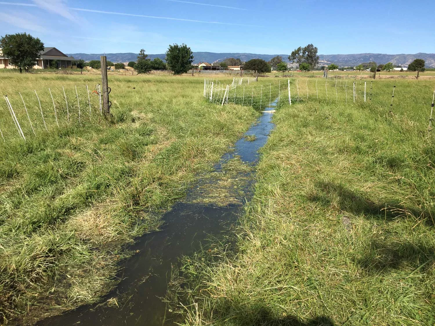 Water in irrigation ditch.