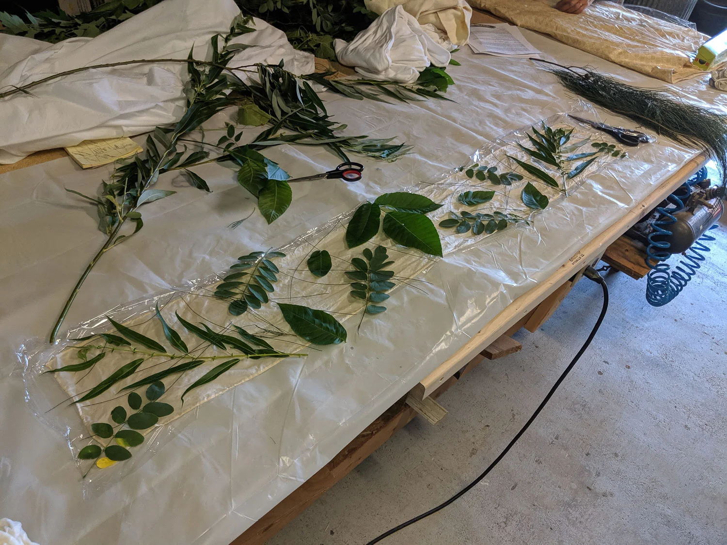 Eco printing on silk