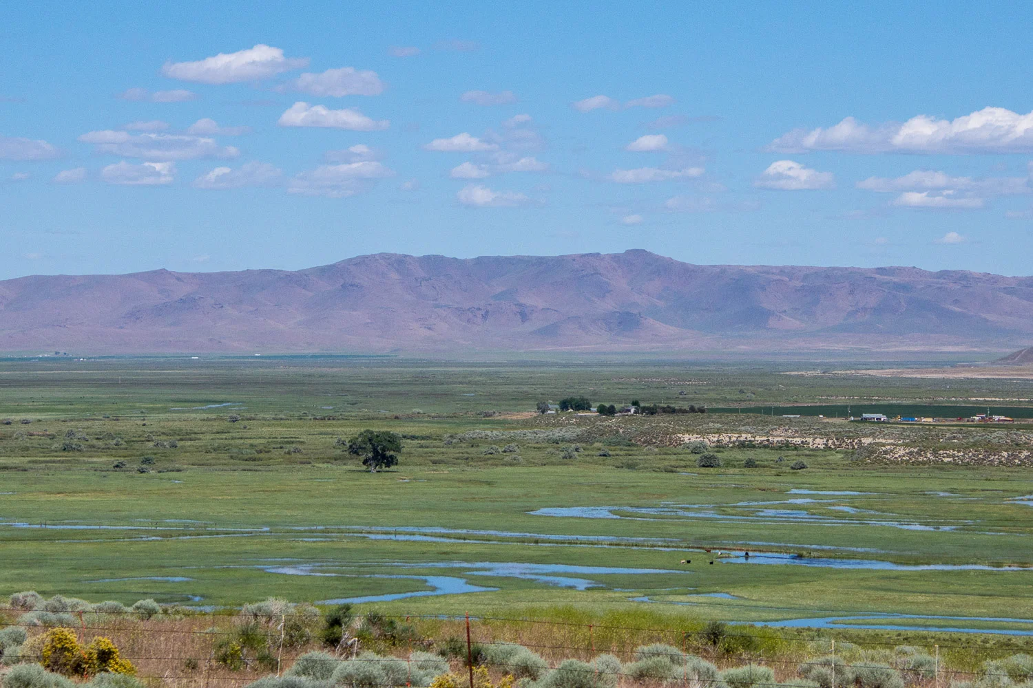 Nevada landscape