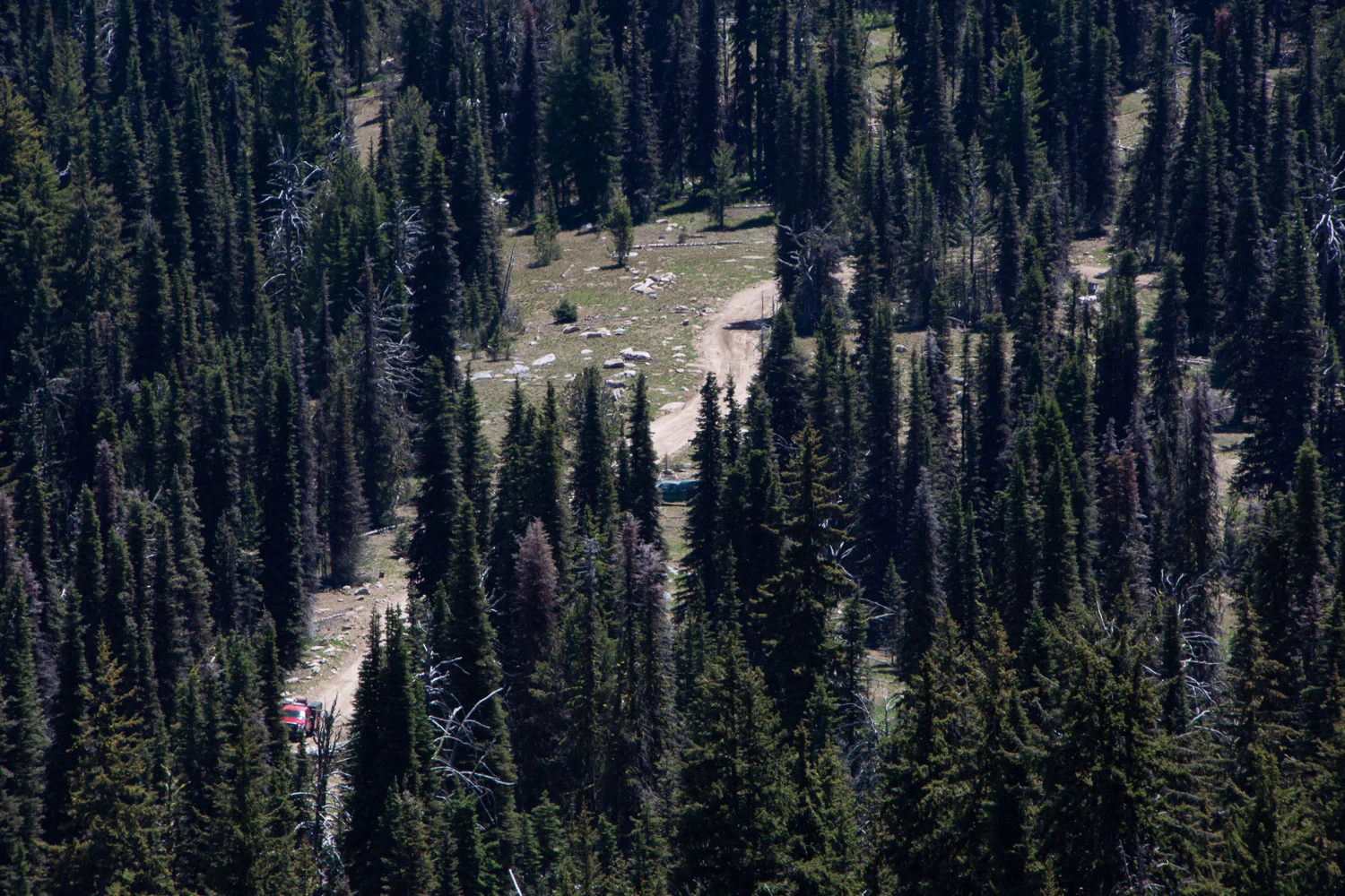 Close up of the road to Brundage Mountain lookout, Idaho.