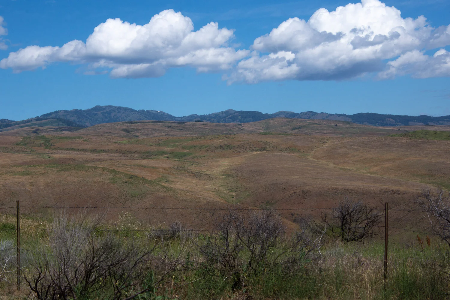 Eastern Oregon scenery