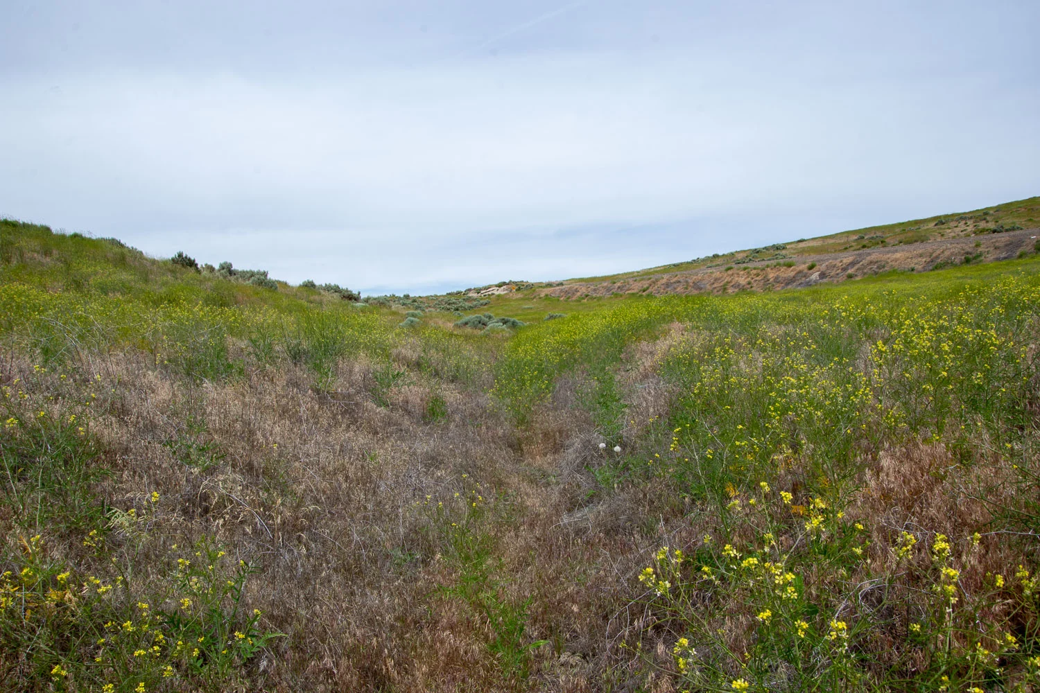 Oregon Trail near Keeney