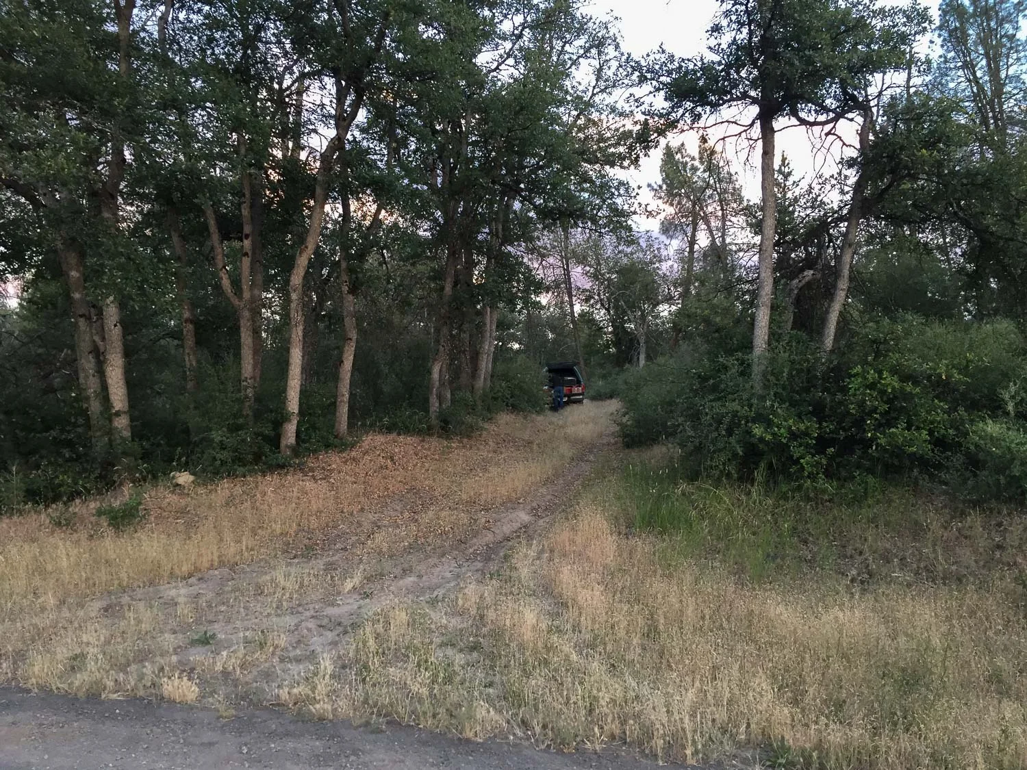 Camping near Burney