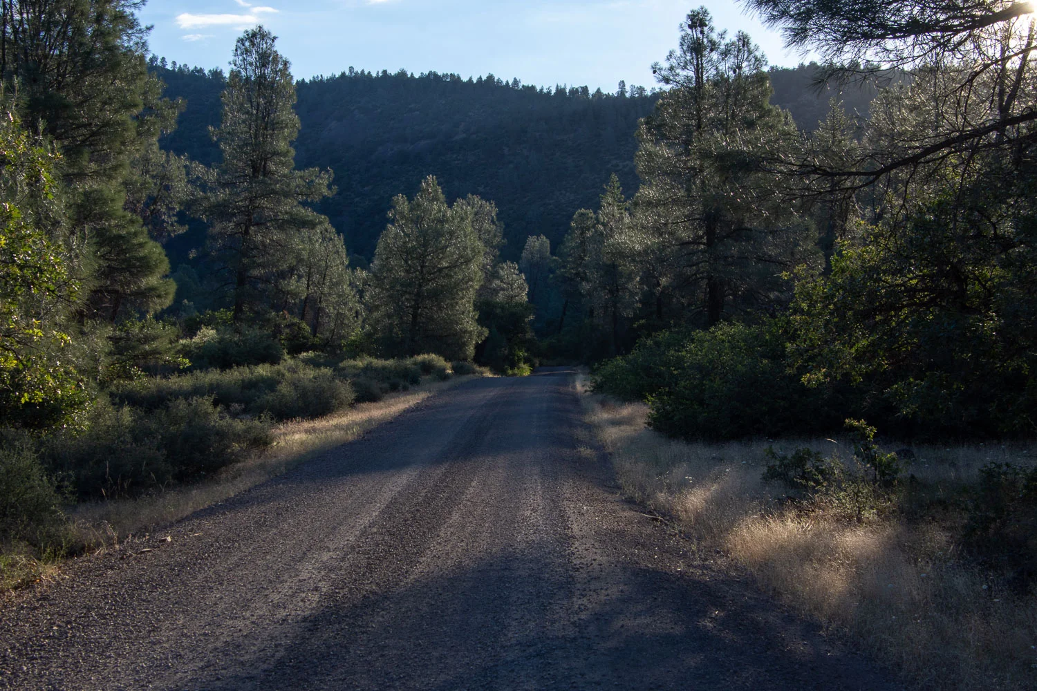 Morning walk camping
