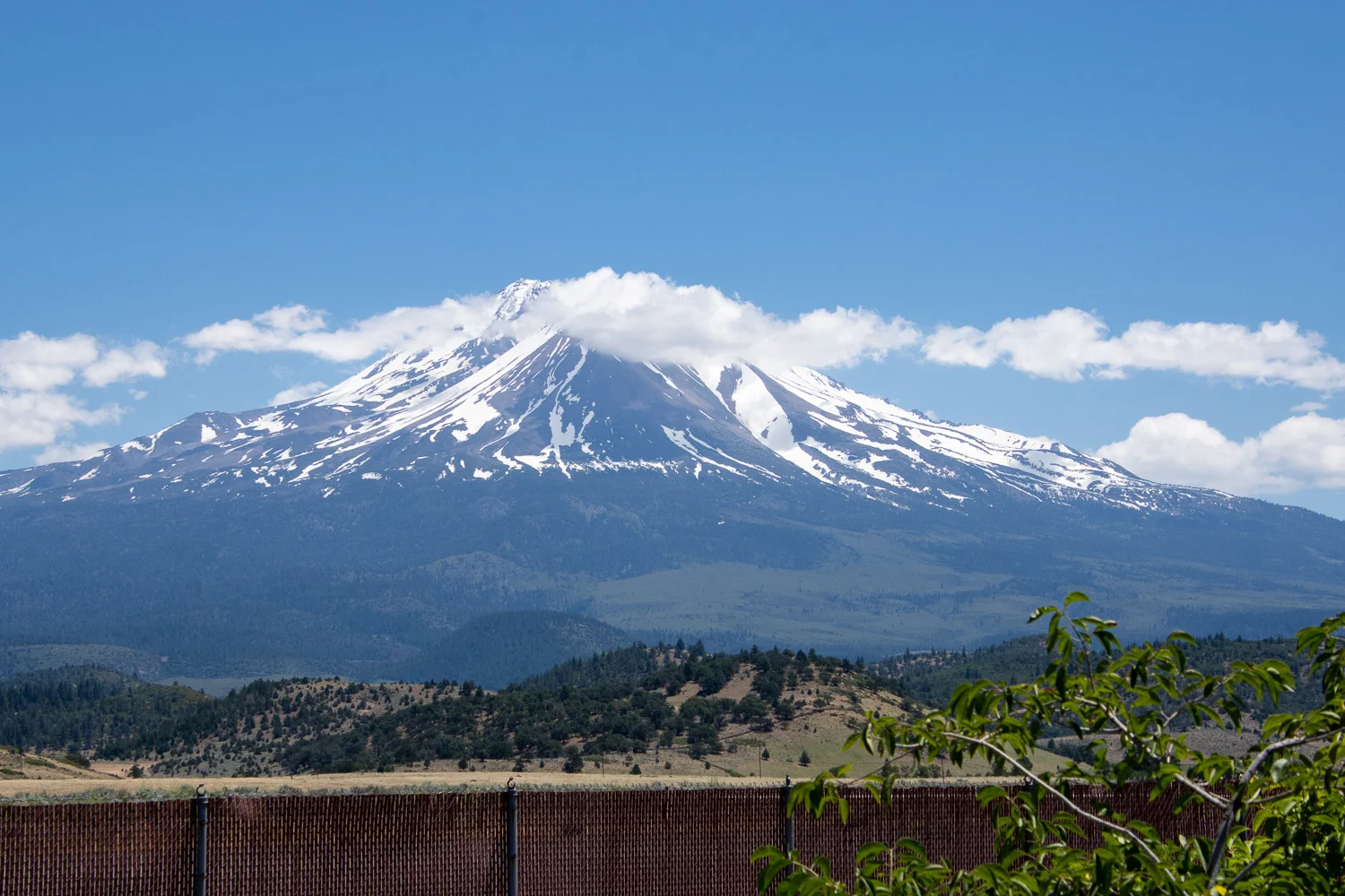 Mt. Shasta.