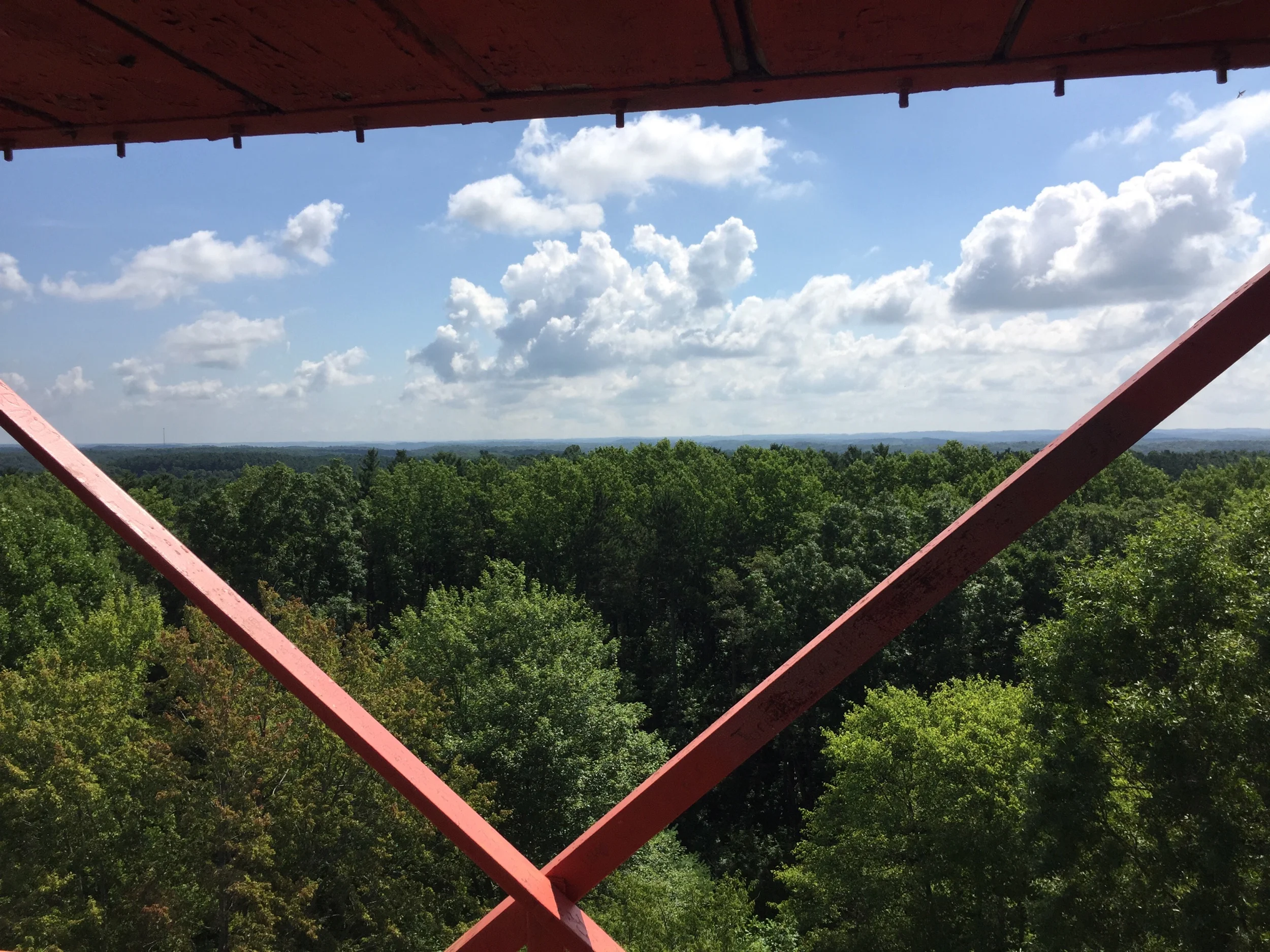 View from mohican state park fire tower