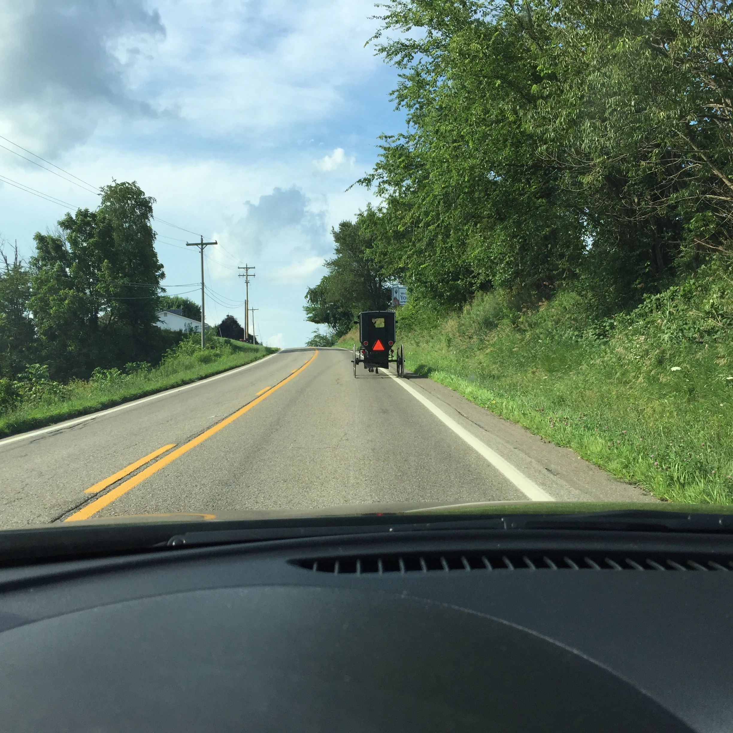 Horse and buggy in homes county, ohio