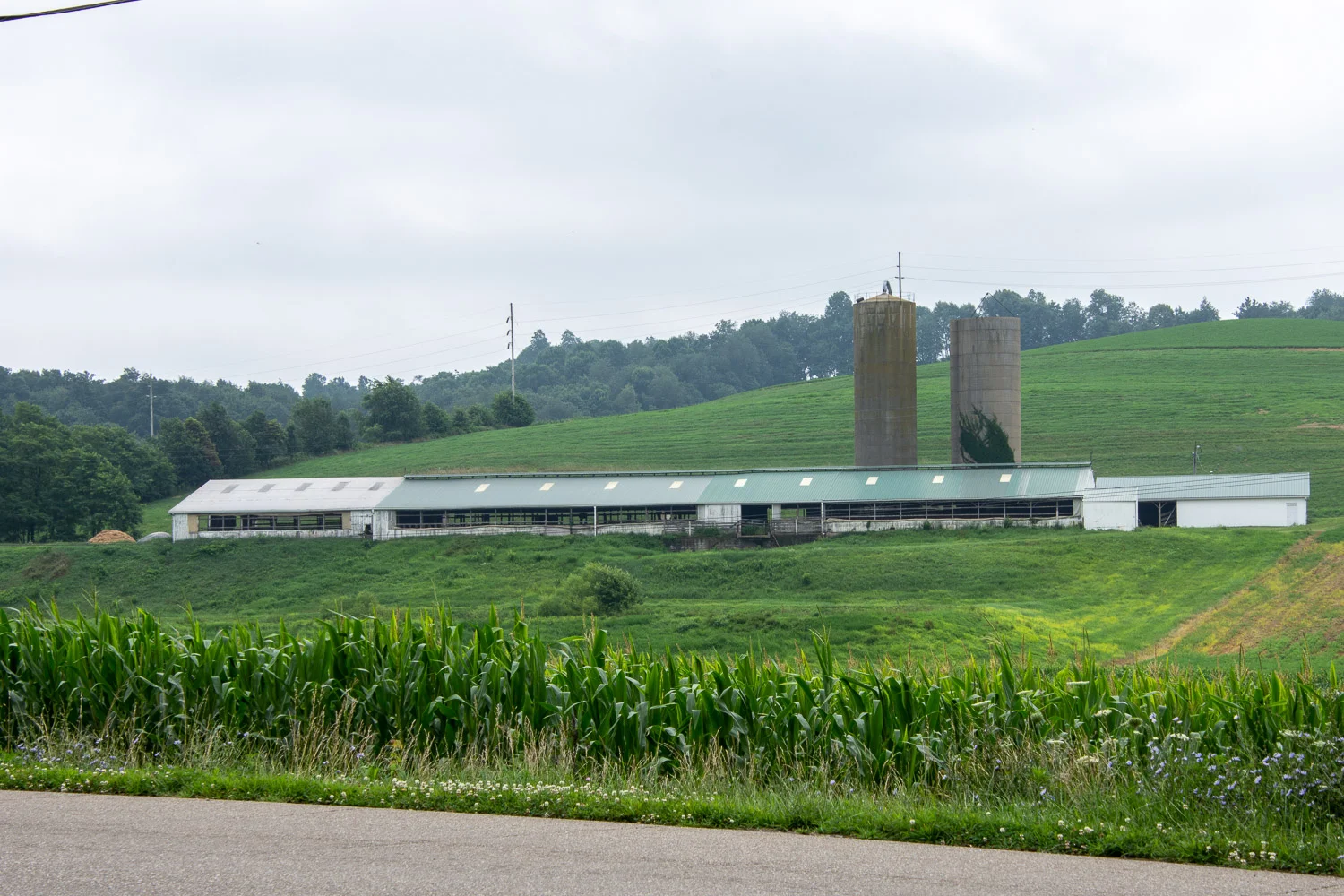Farm country in Ohio.