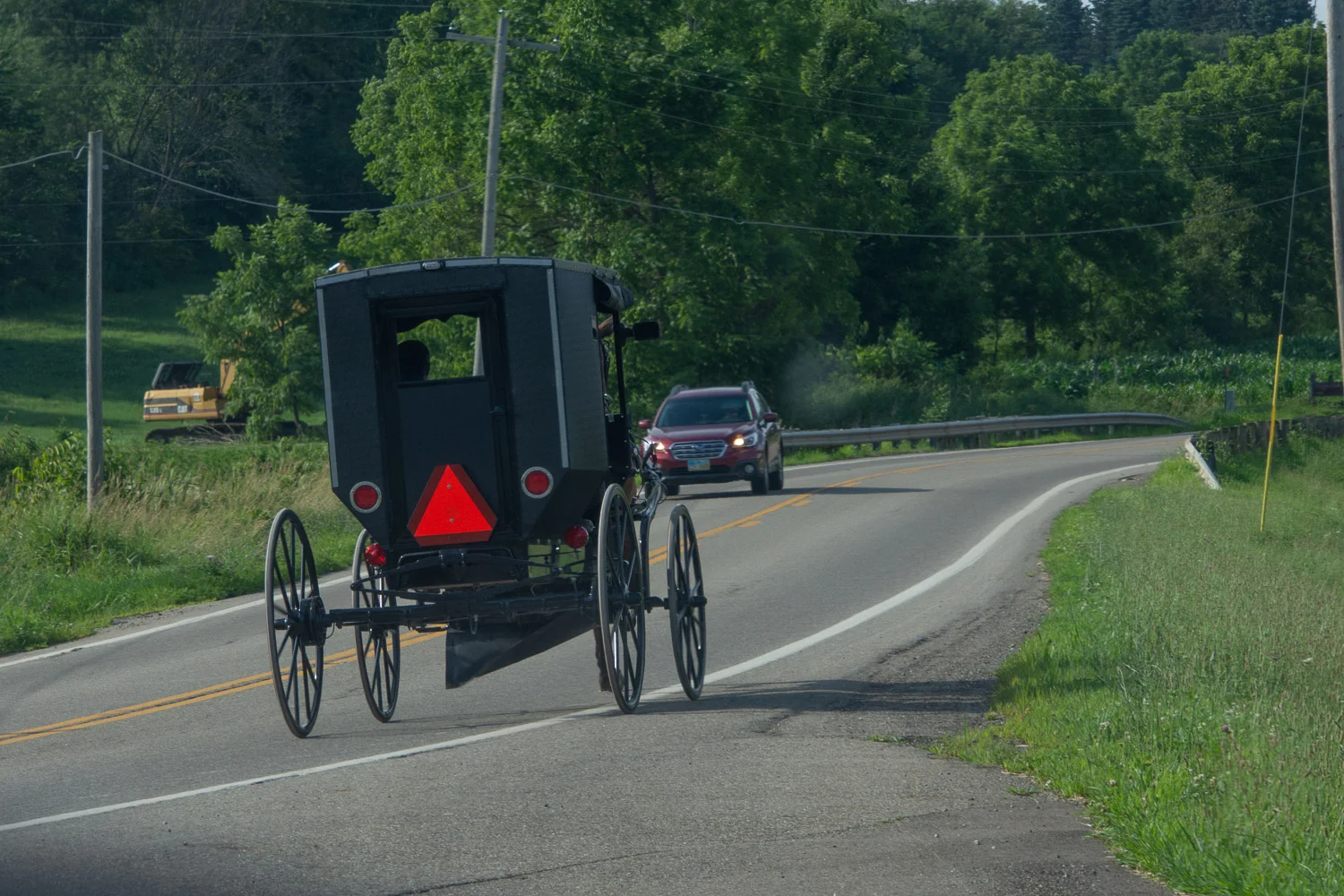 Horse and buggy in Homes County, Ohio.