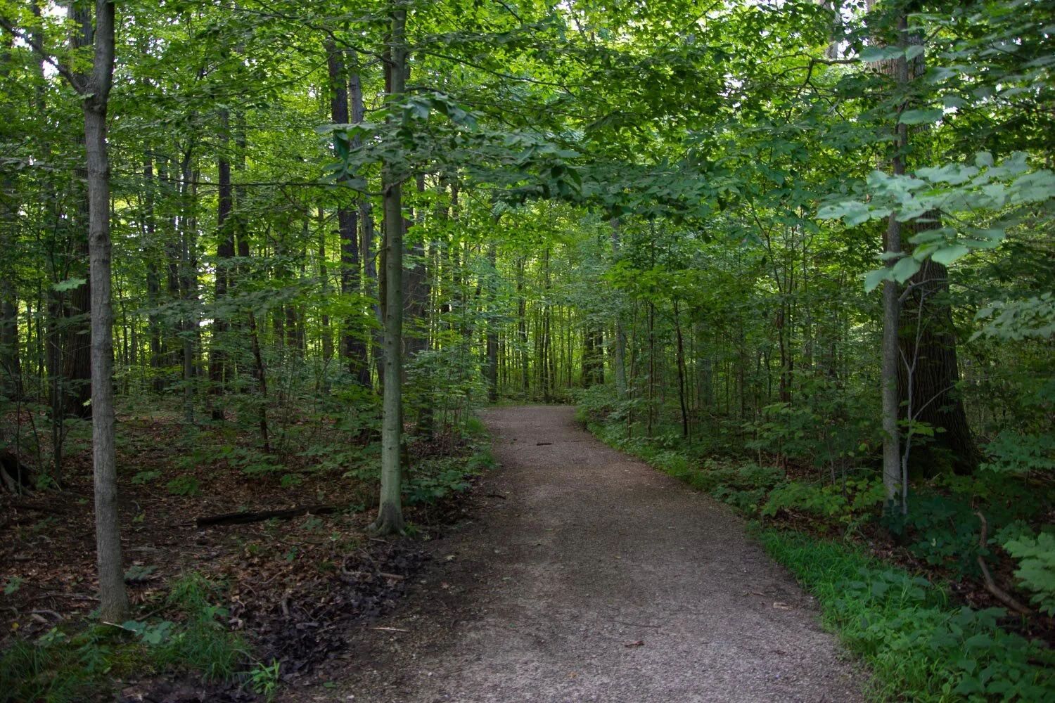 Holden Arboretum, Ohio.